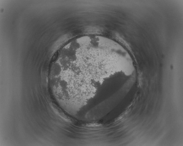 X0000067870059200604271746