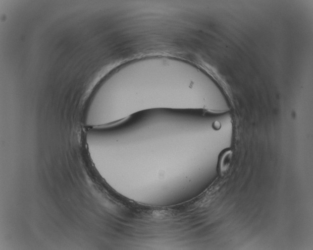 X0000067870060200604271746