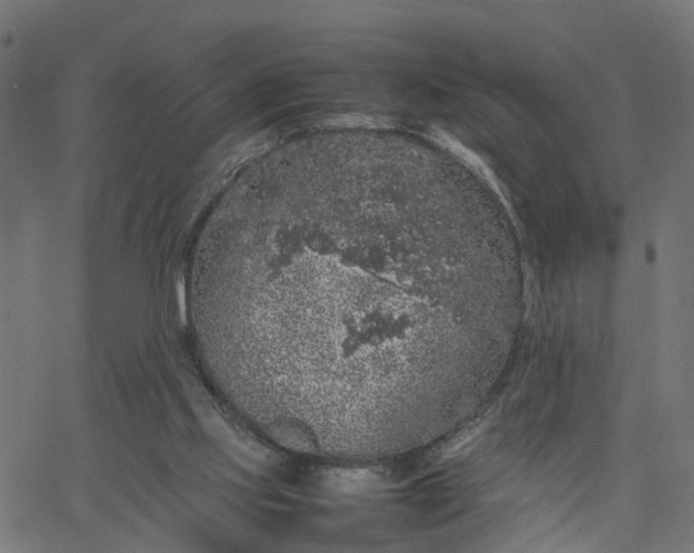 X0000067870061200604271746