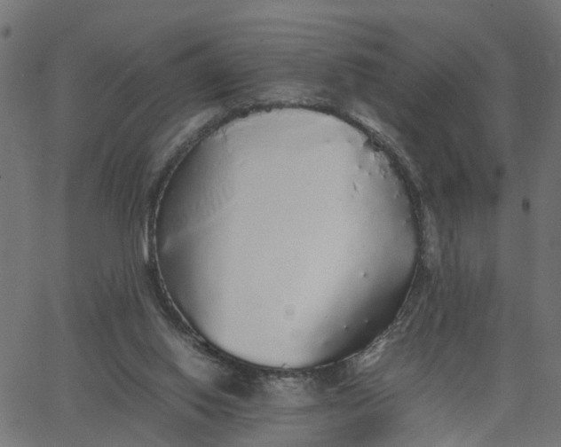 X0000067870062200604271746