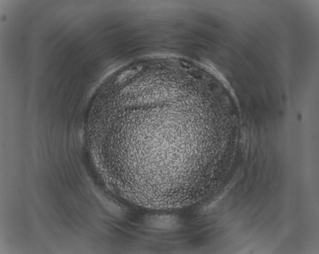 X0000067870063200604271746