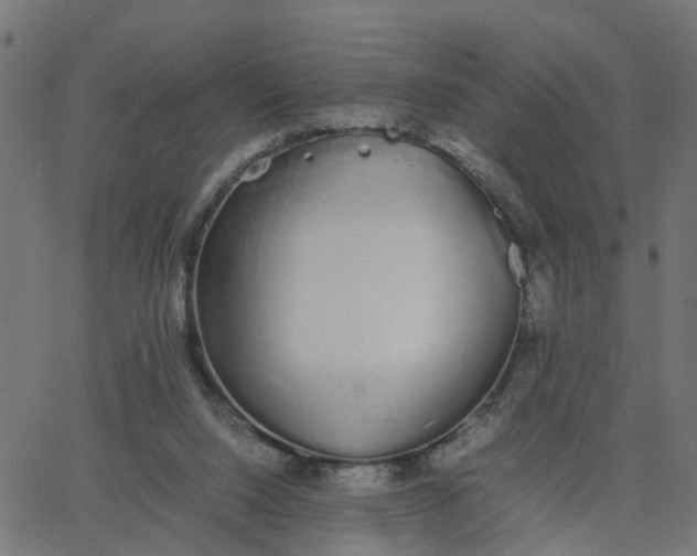 X0000067870064200604271746