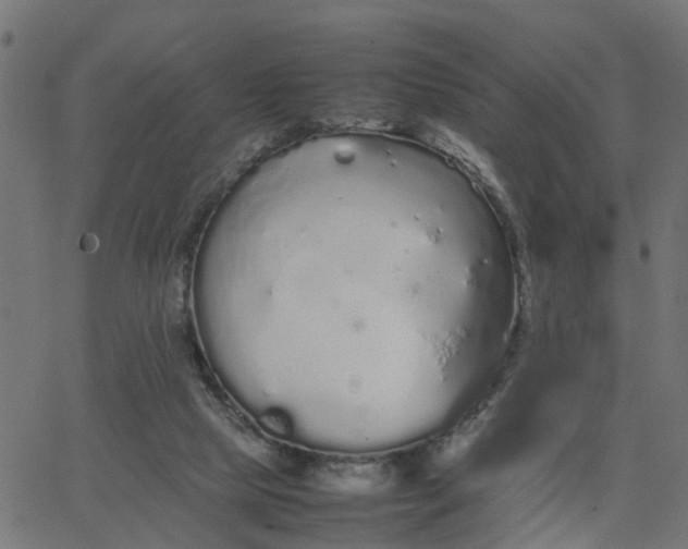 X0000067870065200604271746