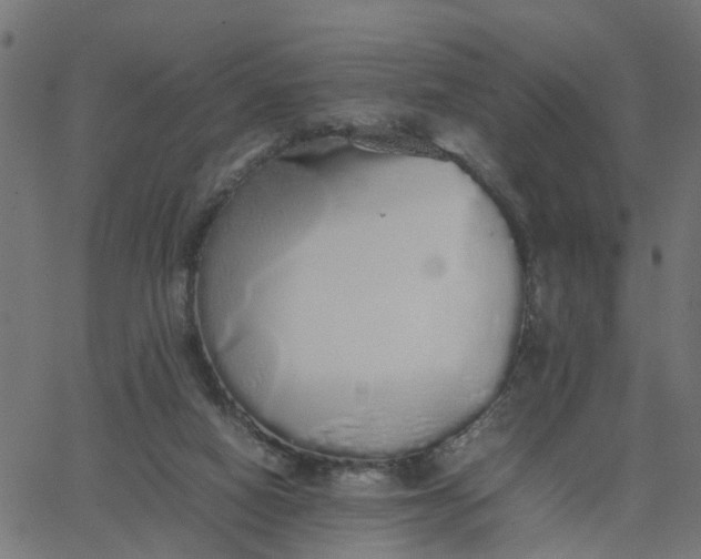 X0000067870066200604271746