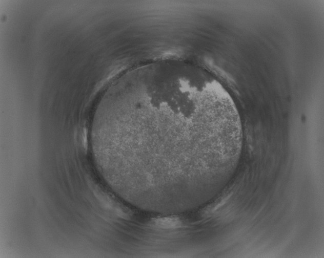 X0000067870067200604271746