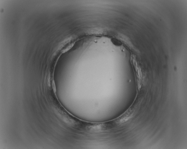 X0000067870068200604271746