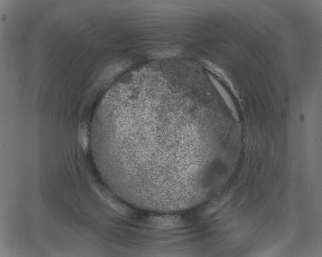 X0000067870069200604271746