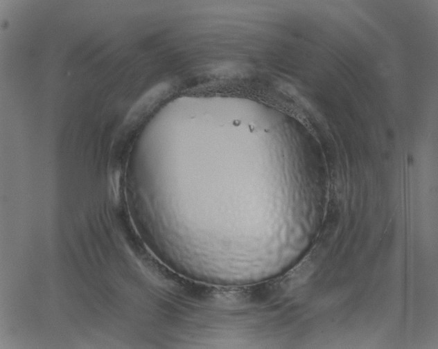 X0000067870070200604271746