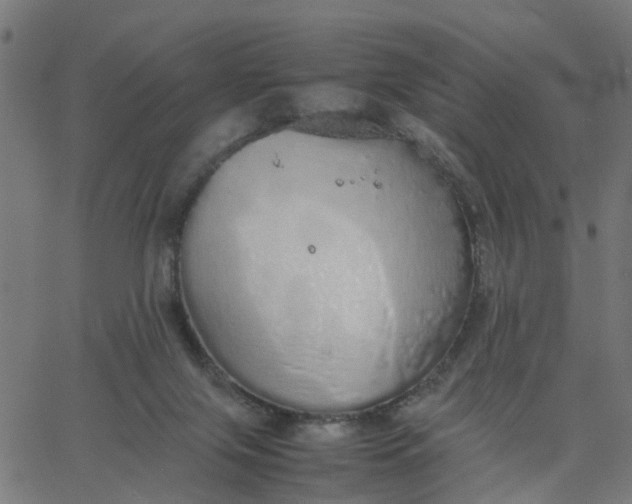 X0000067870071200604271746