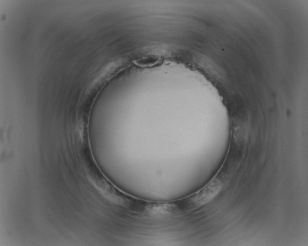 X0000067870072200604271746