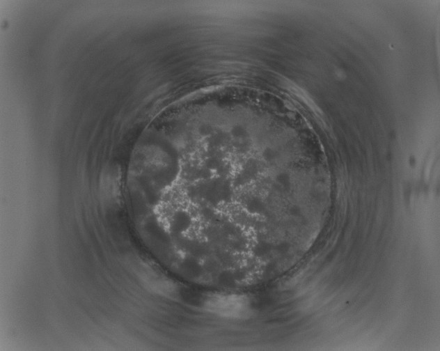 X0000067870073200604271746