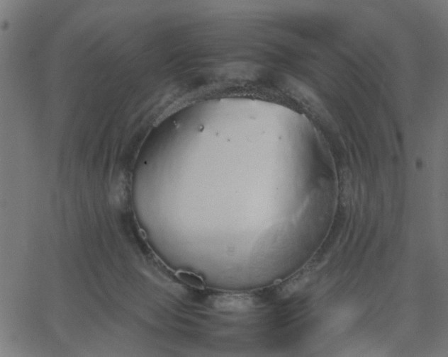 X0000067870077200604271746