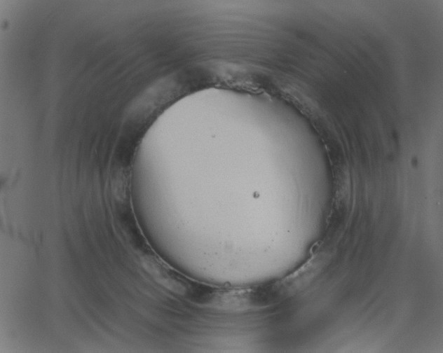 X0000067870078200604271746