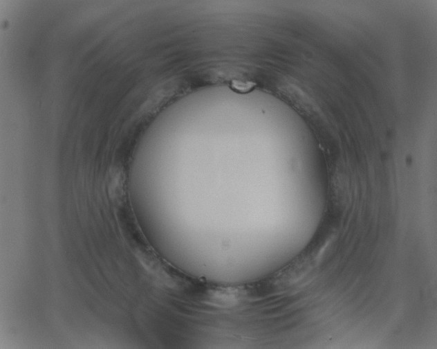 X0000067870079200604271746