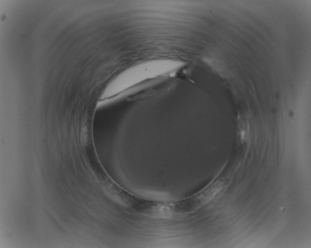 X0000067870080200604271746