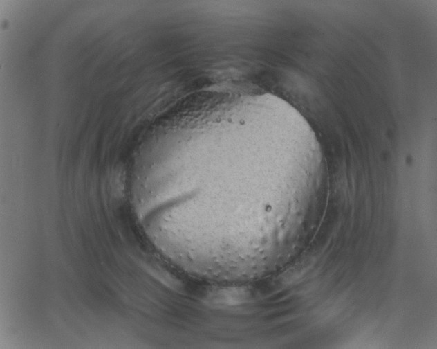 X0000067870081200604271746