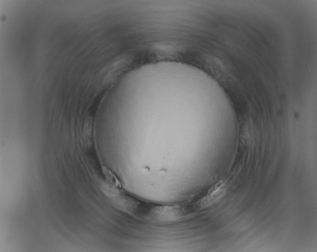 X0000067870082200604271746