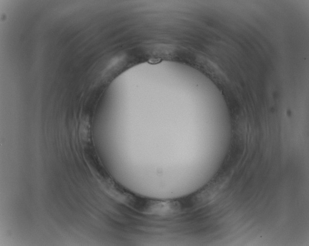 X0000067870083200604271746