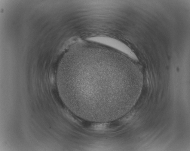 X0000067870084200604271746