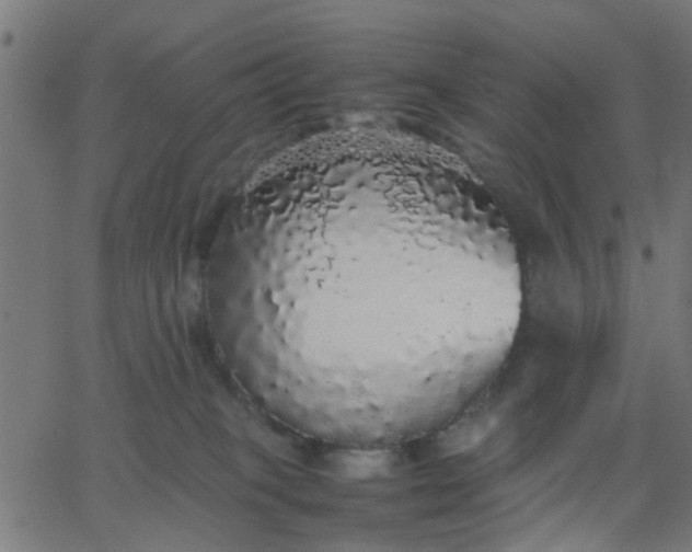 X0000067870085200604271746