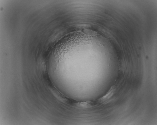 X0000067870086200604271746