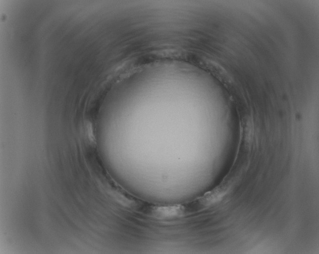 X0000067870089200604271746