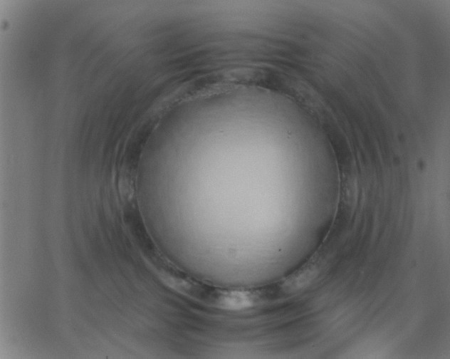 X0000067870091200604271746