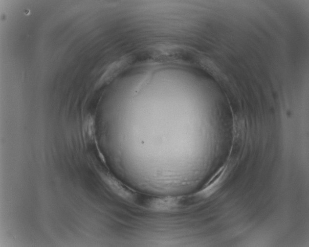 X0000067870094200604271747