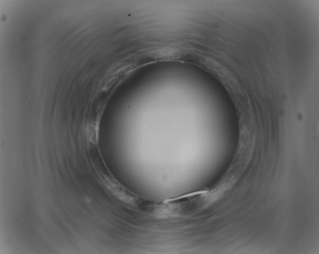 X0000067870096200604271747