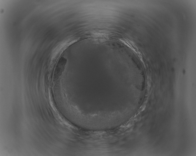 X0000067870097200604271746