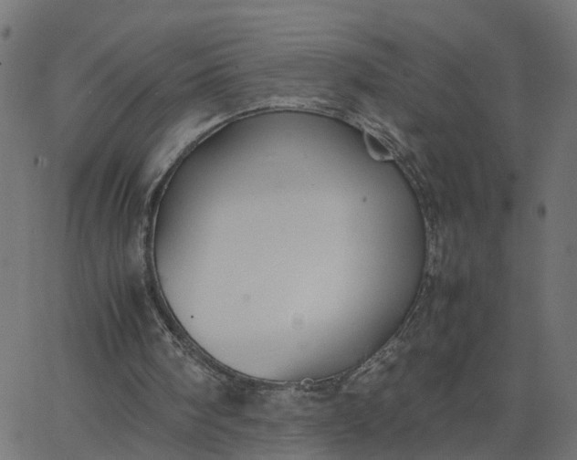 X0000067870098200604271746