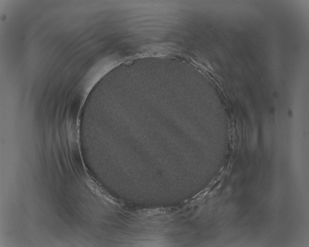 X0000067870100200604271746