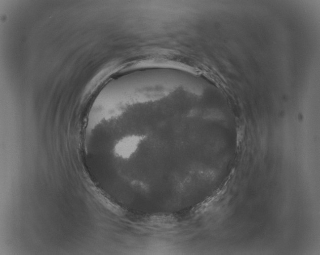 X0000067870101200604271746