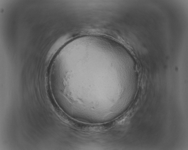 X0000067870103200604271746