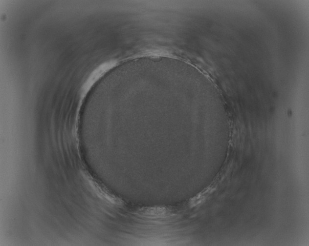 X0000067870104200604271746