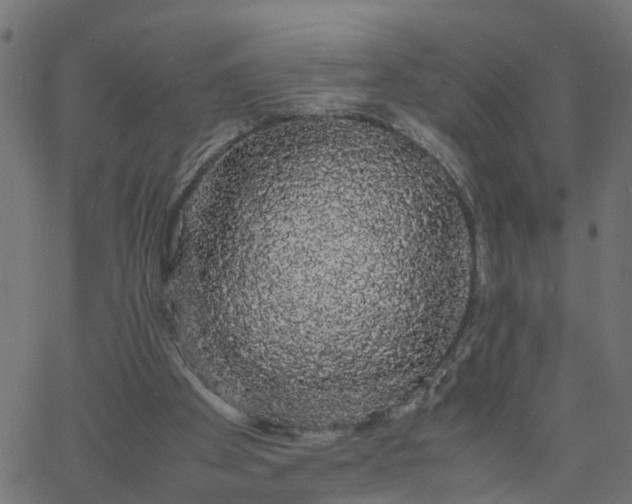 X0000067870105200604271746