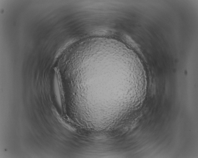 X0000067870106200604271746