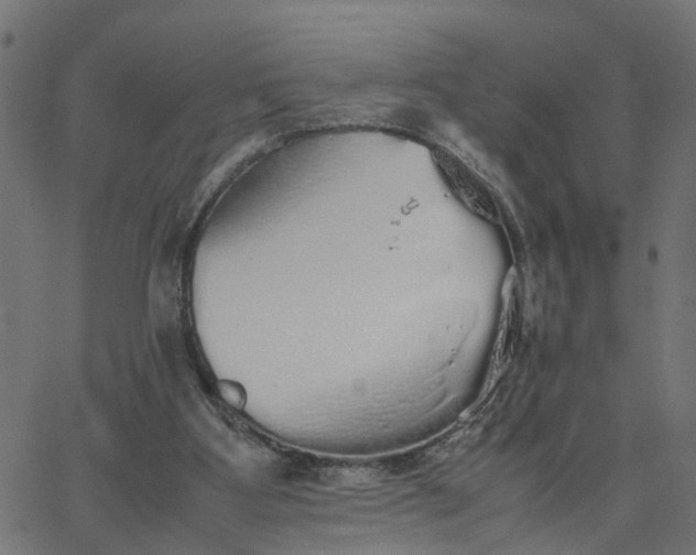 X0000067870107200604271746