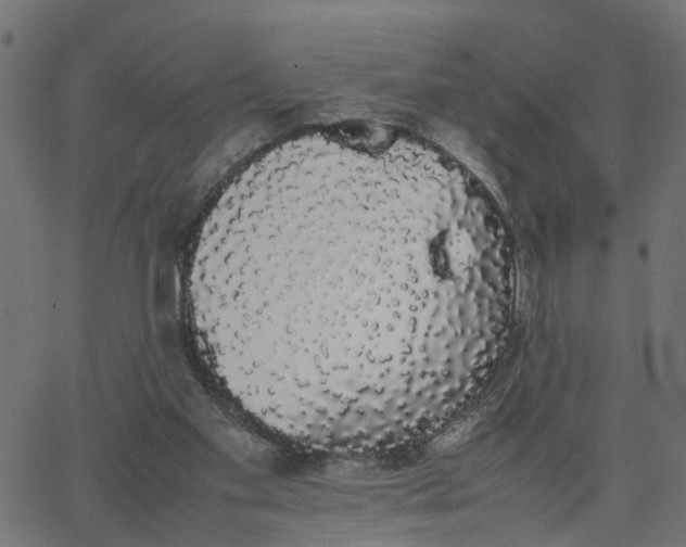 X0000067870109200604271746