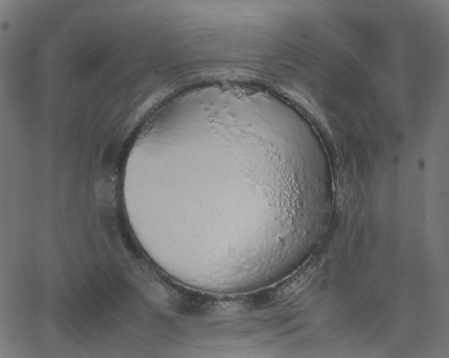 X0000067870111200604271746