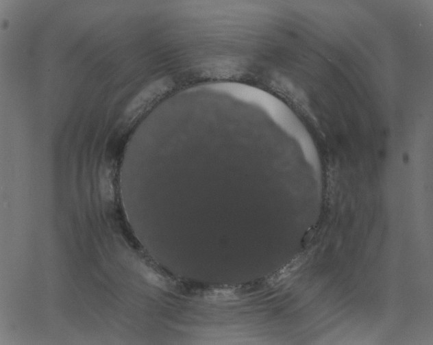 X0000067870114200604271746