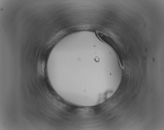 X0000067870118200604271745