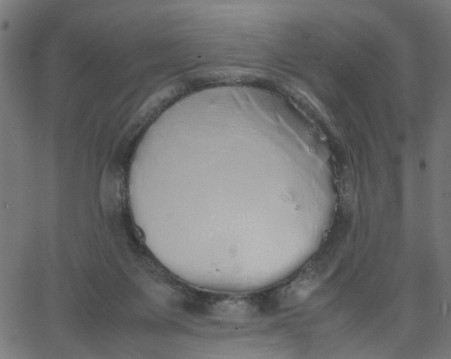 X0000067870119200604271745