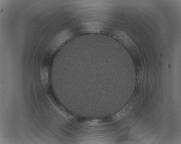 X0000067870120200604271745