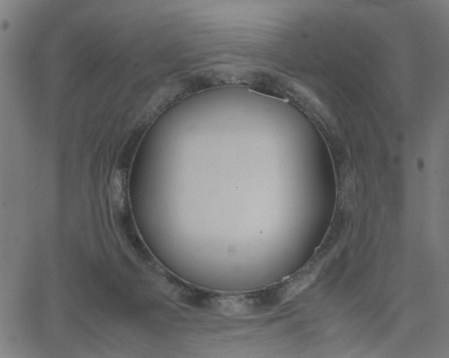 X0000067870121200604271745