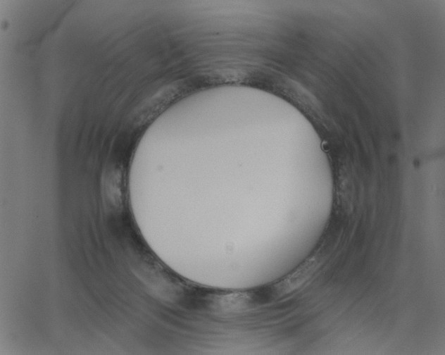 X0000067870122200604271745