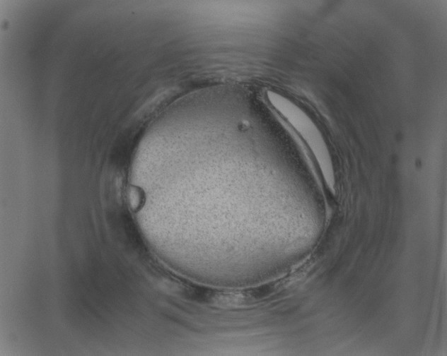 X0000067870123200604271745