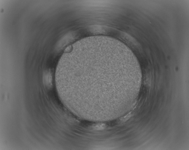 X0000067870124200604271745