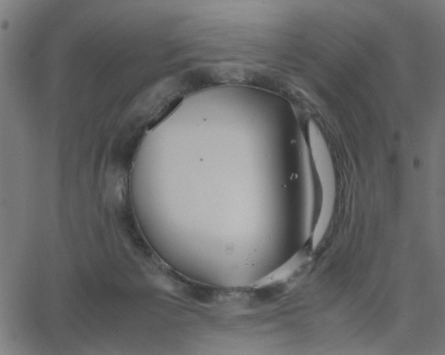 X0000067870125200604271745