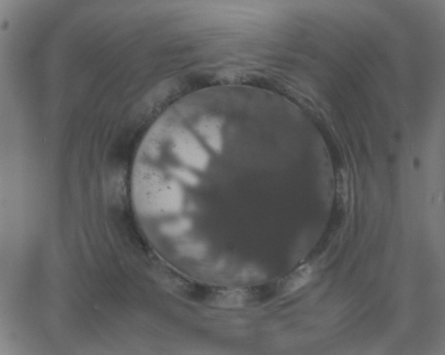 X0000067870127200604271745